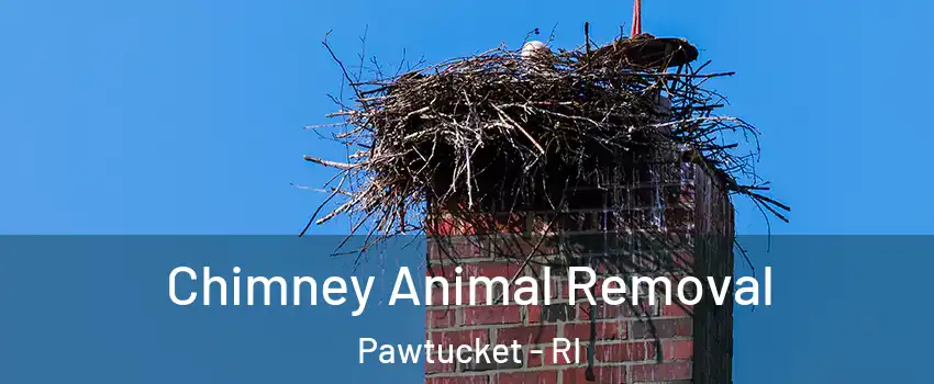  Chimney Animal Removal Pawtucket - RI