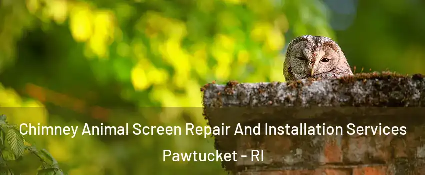  Chimney Animal Screen Repair And Installation Services Pawtucket - RI