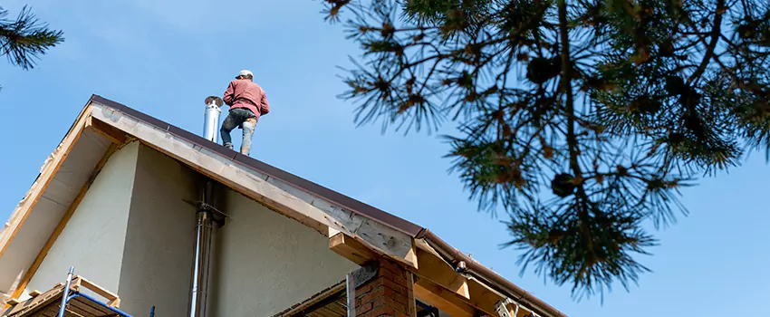 Birds Removal Contractors from Chimney in Pawtucket, RI
