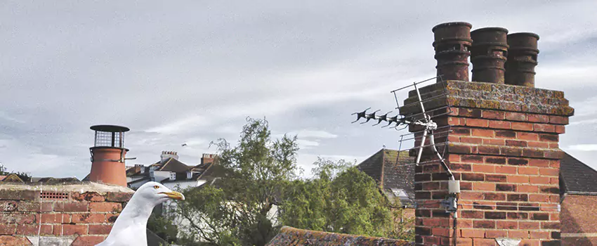 Chimney Cleaning And Restoration in Pawtucket, Rhode Island